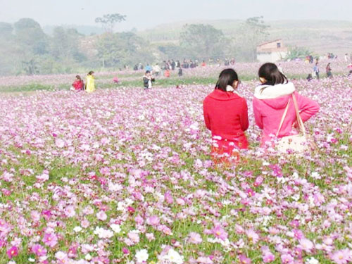 親子活動樂園